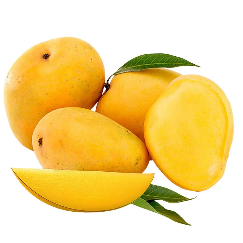 مانجة
